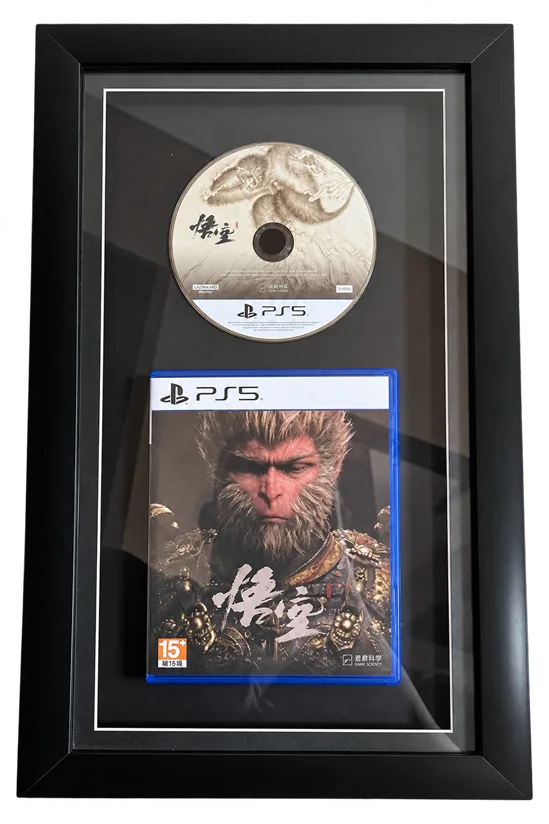 Custom Frame - PS5 Game