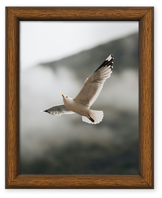 Frame 10R + Cetak Foto - Coklat Emas